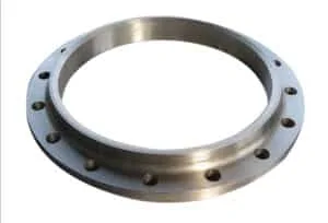 Labi in Flanges 1