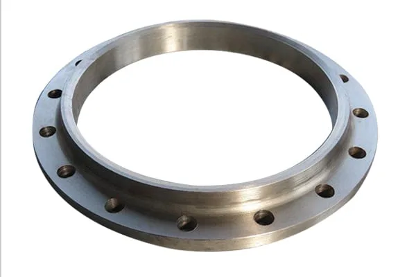 Labi in Flanges 1