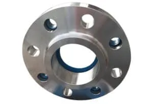 Labi in Flanges 80