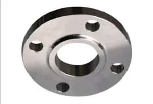 Labi in Flanges 81