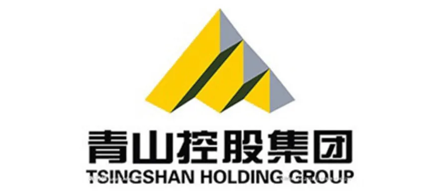 TSINGSHAN HOLDING GROUP