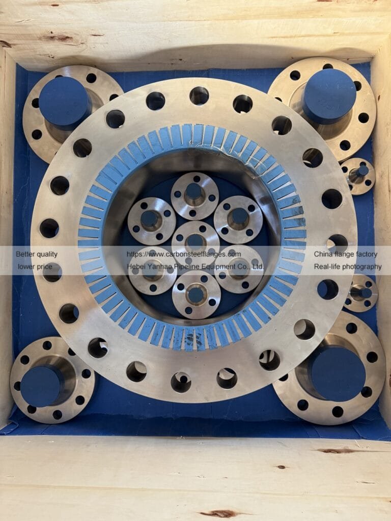 Project Case: Weld Neck Flange & Pipe Cap | Serbia