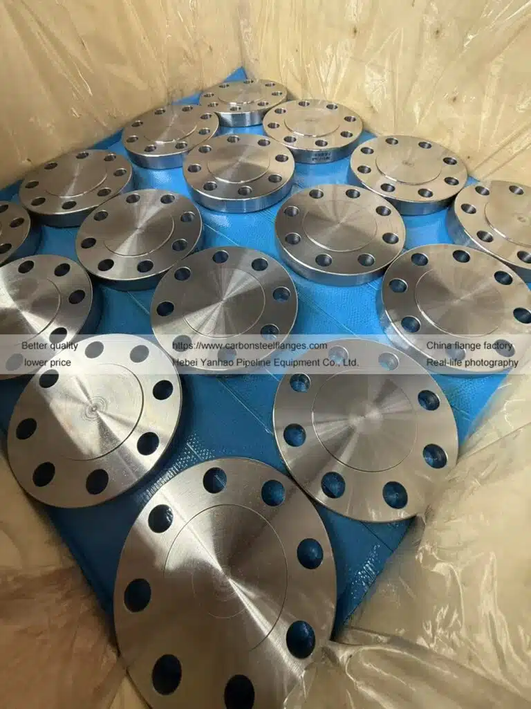 Project Case: Custom Blind Flange | Malaysia