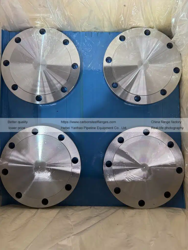 Project Case: Custom Socket welding & Neck Welding Flange | Kyrgyzstan